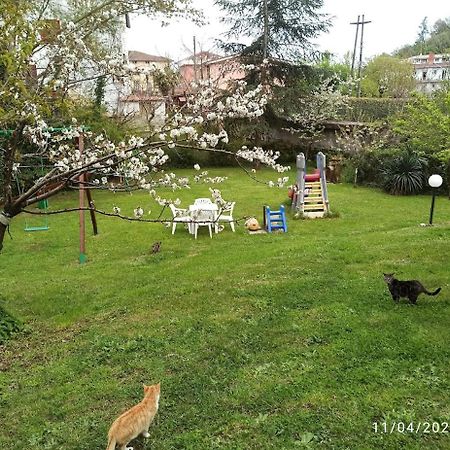King Hotel Fiuggi Εξωτερικό φωτογραφία