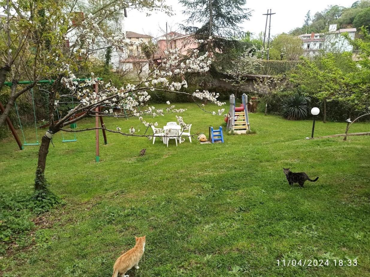King Hotel Fiuggi Εξωτερικό φωτογραφία